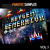 PAKOTEC SAMPLES - 8-Bit Keygen Generator